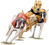Dog Racing